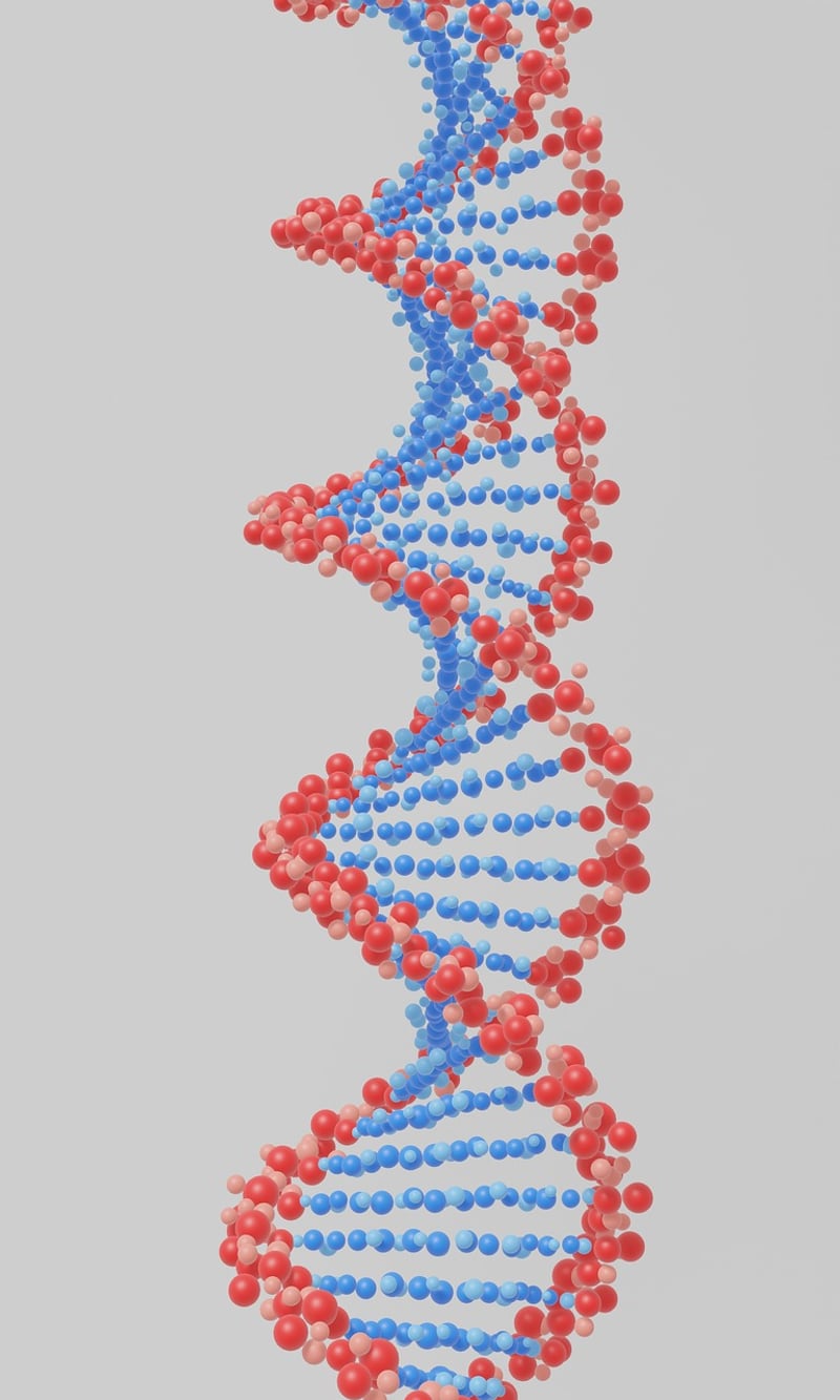 DNA Structure