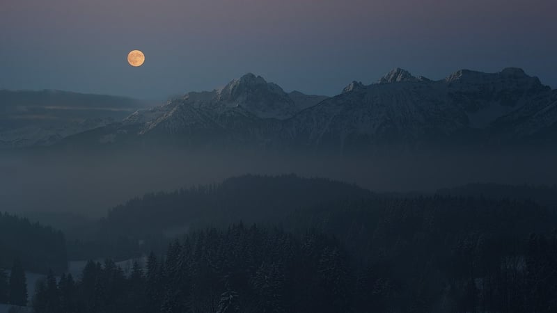 Enchanted Landscape